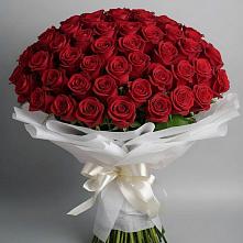 Букет 101 Красная роза Блэк Мэджик в Дубровке Брянской области