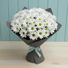 Букет цветов из:  Хризантемы в Дубровке Брянской области