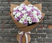 Букет цветов из:  Хризантемы в Дубровке Брянской области