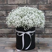 Цветочная композиция из Гипсофила в шляпной коробке в Дубровке Брянской области