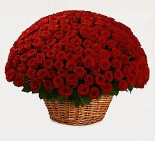 Премиум букет из: Розы в Дубровке Брянской области